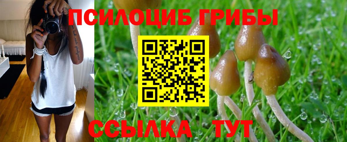Псилоцибиновые грибы MAGIC MUSHROOMS Похвистнево
