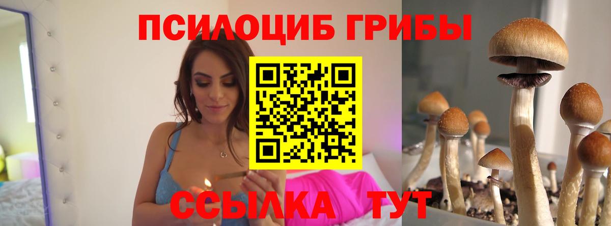 Галлюциногенные грибы ЛСД  Вход с VPN  Похвистнево  Псилоцибиновые грибы Psilocybine cubensis 